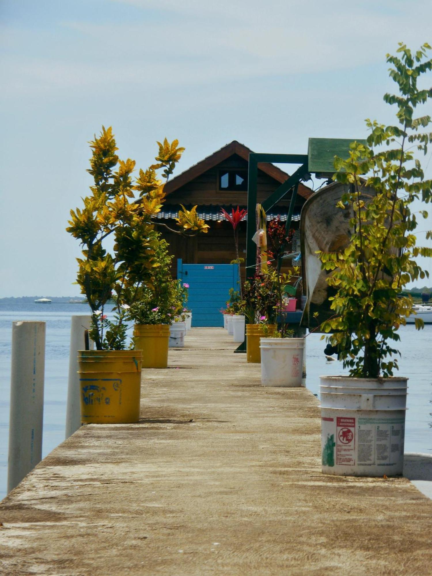 Barrbra Bnb Over The Sea Bocas Town Exterior foto
