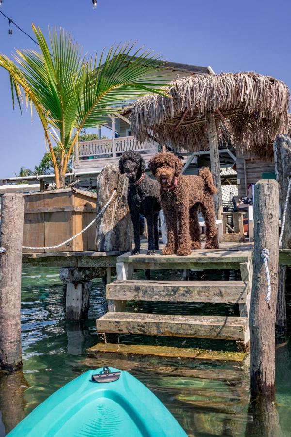 Barrbra Bnb Over The Sea Bocas Town Exterior foto